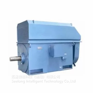 Dinamômetro do torque de SeeLong 6000 RPM 0.2%FS